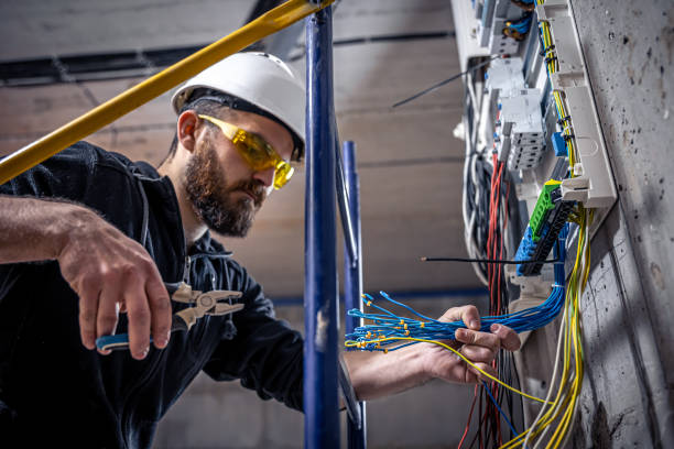 Best Industrial Electrical Services  in Palisade, CO