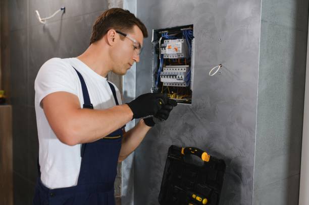 Best Commercial Electrician Services  in Palisade, CO